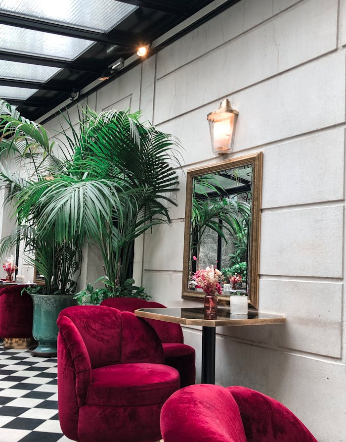 Mastering the First Impression: Your intriguing post title goes here Stylish Parisian interior featuring red velvet chairs, tropical plants, and a classic mirror.