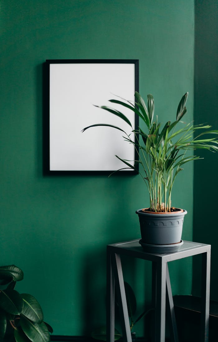 services-02 A stylish home interior featuring a blank frame and a potted plant against a green wall, perfect for minimalist ideas.